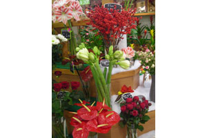 AU JARDIN FLEURI