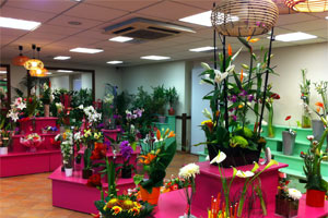 LABEL FLEURS