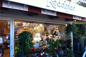 ATELIER RODOLPHE