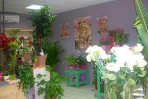 AMBRE FLEURS