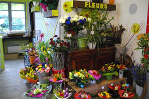 INTUITIONS FLORALES 