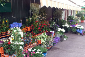 FLORE ET SENS 
