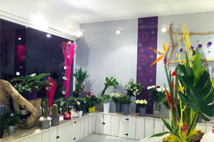 DESIR DE FLEURS