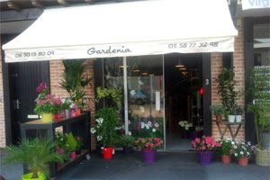 GARDENIA