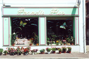 PARADIS FLOR