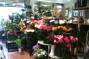 FLORALIA