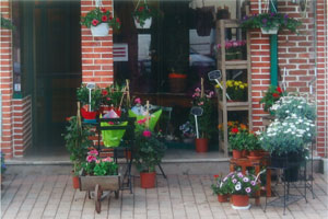 A FLEURS DE POT