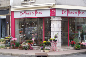 DE FLEURS EN FLEURS 