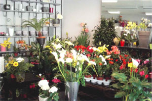 REVERCHON FLEURISTE