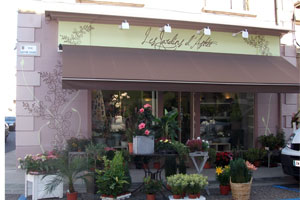 LES JARDINS D ASTREE