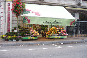 IDEE FLEURS