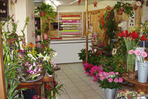 FLEURS DE MAI