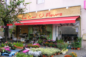LA CAV O FLEURS