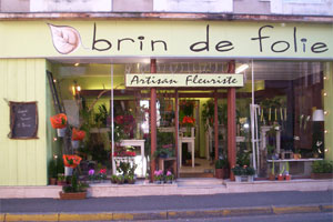 BRIN DE FOLIE
