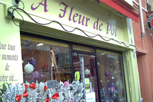 A FLEUR DE POT        