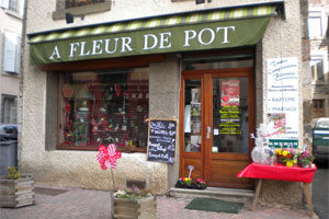 A FLEUR DE POT