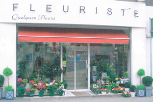 QUELQUES FLEURS