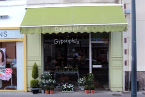 GYPSOPHILE
