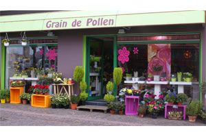 GRAIN DE POLLEN