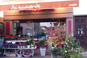 AQUAVERDE