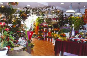 LES JARDINS D ARCADIE