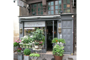 FLORA ET SENSO