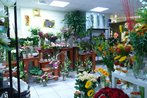 SARL COLCHIQUE CREATIONS