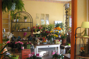 UN BOUQUET