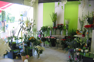 L OLI FLEURS