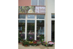 LE REFLET DES FLEURS