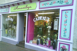 AMARILYS FLEURS