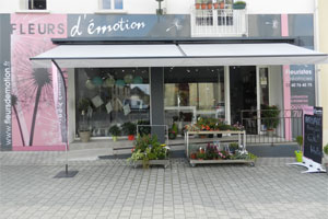 FLEURS D EMOTION
