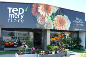 TED MERY FLORE