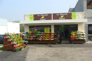 LE MARCHE AUX FLEURS 