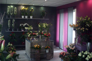 PIVOINE ET CAPUCINE
