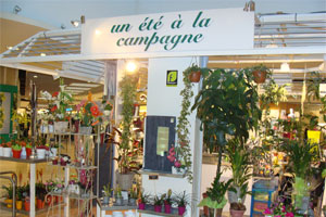 UN ETE A LA CAMPAGNE     