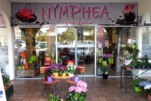 NYMPHEA