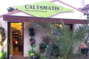 CALYSMATIS