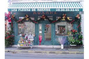 FLEURS DE ROXANE
