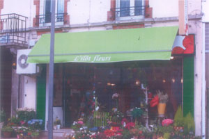 L ILOT FLEURS
