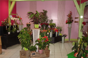 FLOR AL CREATIONS 