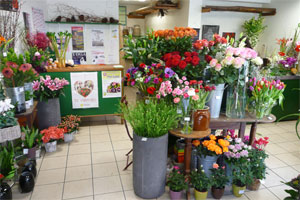 O² FLEURS