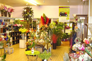AGEN FLEURS