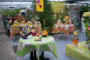MARY FLEURS