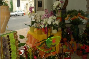 COROLLES