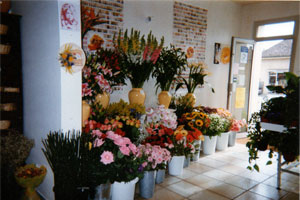 PASSIFLEUR