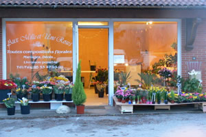 AUX MILLE ET UNE ROSES