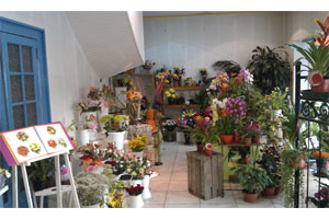 LA BOUQUETIERE