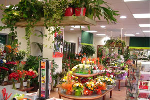 SARL OLEA LE JARDIN DES FLEURS