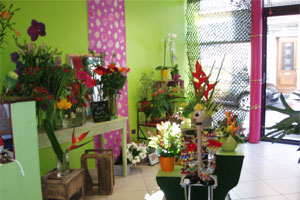 FLEURSSICA          